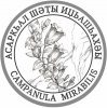 Campanula-mir (1)